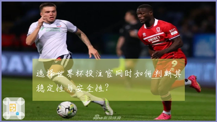 选择世界杯投注官网时如何判断其稳定性与安全性？