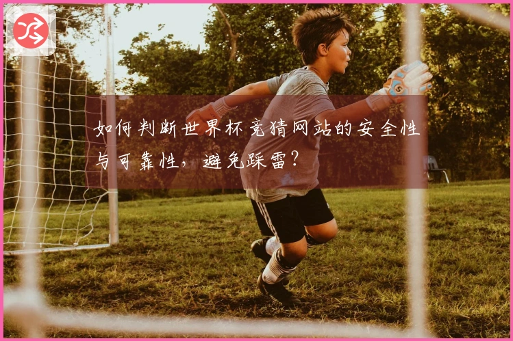 如何判断世界杯竞猜网站的安全性与可靠性，避免踩雷？