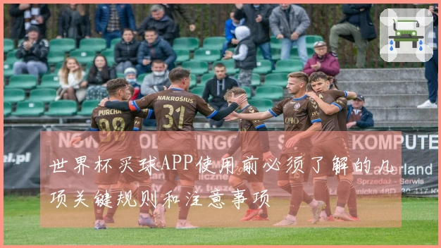 世界杯买球APP使用前必须了解的几项关键规则和注意事项