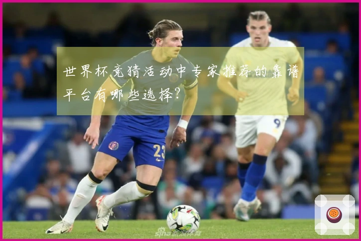 世界杯竞猜活动中专家推荐的靠谱平台有哪些选择？