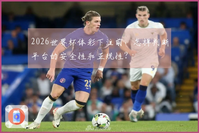 2026世界杯体彩下注前，怎样判断平台的安全性和正规性？