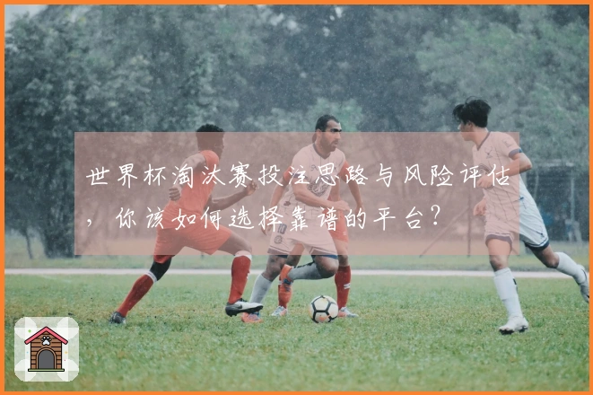 世界杯淘汰赛投注思路与风险评估，你该如何选择靠谱的平台？