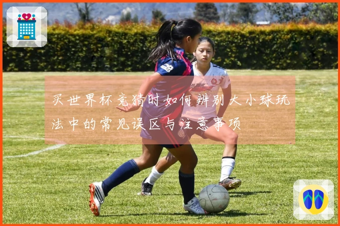 买世界杯竞猜时如何辨别大小球玩法中的常见误区与注意事项