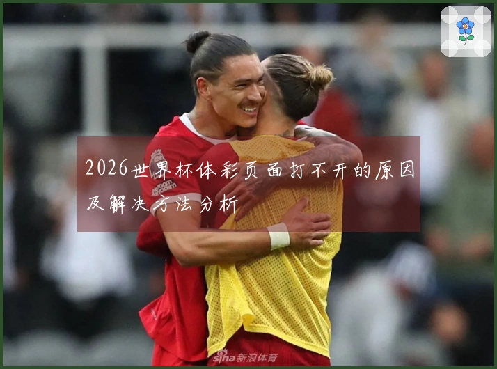 2026世界杯体彩页面打不开的原因及解决方法分析