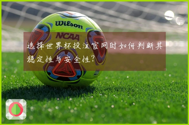 选择世界杯投注官网时如何判断其稳定性与安全性？