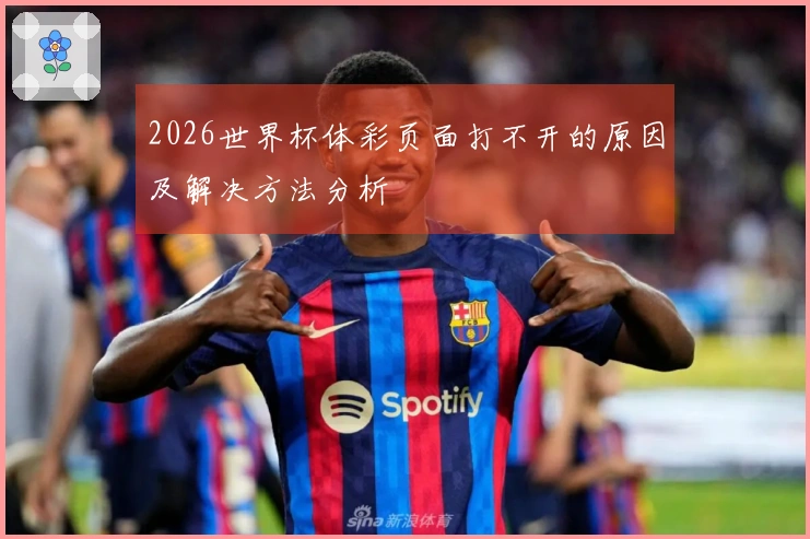 2026世界杯体彩页面打不开的原因及解决方法分析