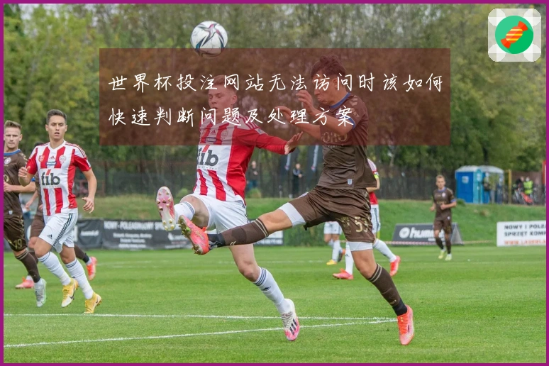世界杯投注网站无法访问时该如何快速判断问题及处理方案