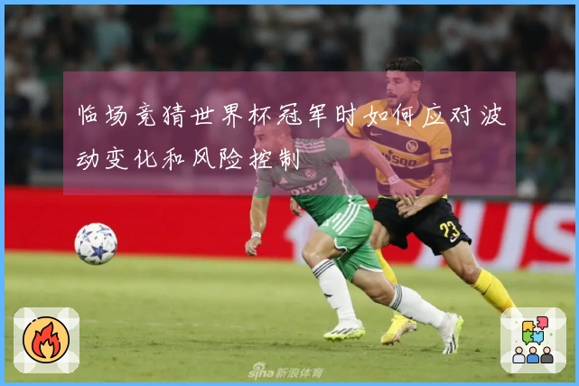 临场竞猜世界杯冠军时如何应对波动变化和风险控制