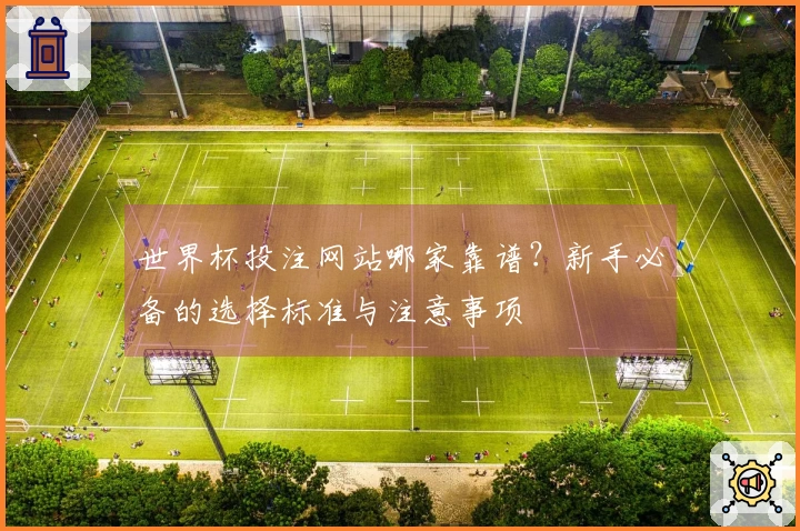 世界杯投注网站哪家靠谱？新手必备的选择标准与注意事项
