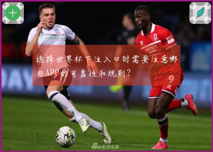 选择世界杯下注入口时需要注意哪些APP的可靠性和规则？