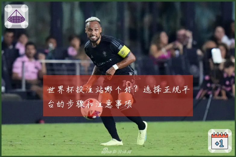 世界杯投注站哪个好？选择正规平台的步骤和注意事项