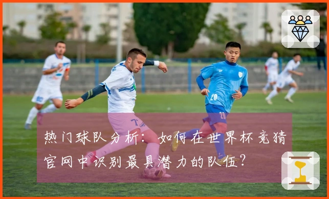 热门球队分析：如何在世界杯竞猜官网中识别最具潜力的队伍？