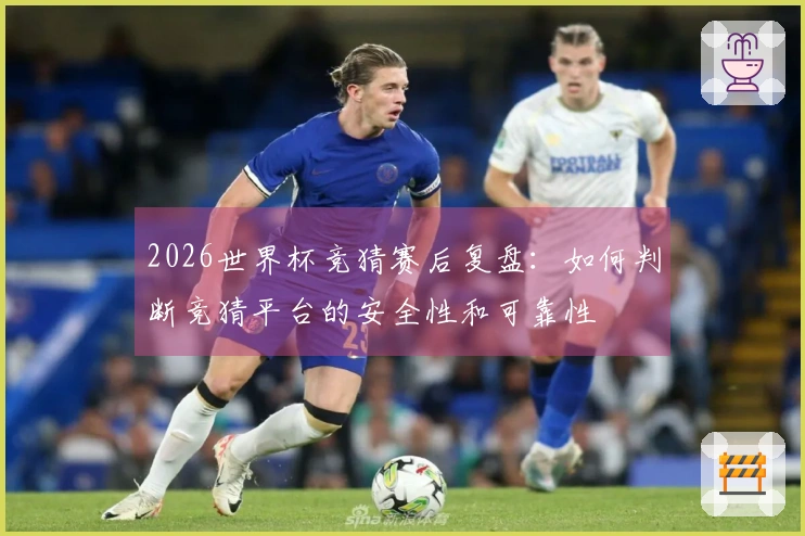 2026世界杯竞猜赛后复盘：如何判断竞猜平台的安全性和可靠性
