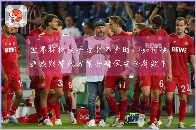 世界杯投注平台打不开时，如何快速找到替代方案并确保安全有效下注