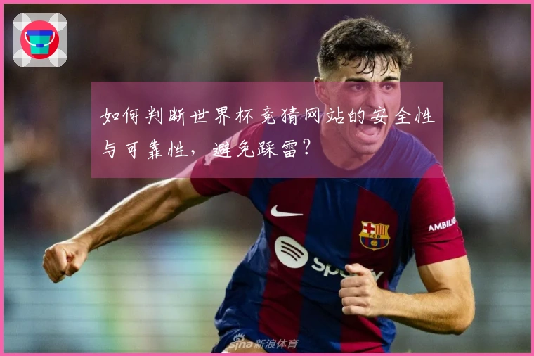 如何判断世界杯竞猜网站的安全性与可靠性，避免踩雷？