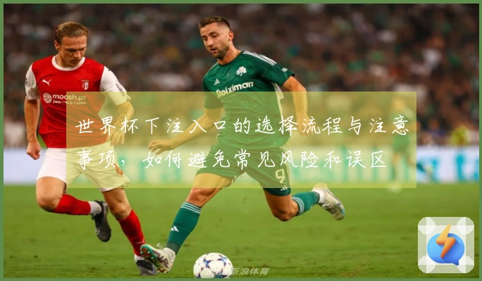 世界杯下注入口的选择流程与注意事项，如何避免常见风险和误区