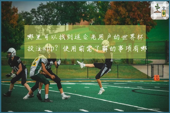 哪里可以找到适合老用户的世界杯投注app？使用前需了解的事项有哪些